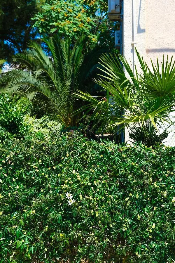 Olive Shade - Apartment Near The Beach Split